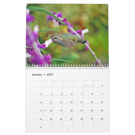 Hinterhof-Kolibri-Kalender Kalender (Jan 2027)