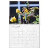 Hinterhof-Kolibri-Kalender Kalender (Feb 2027)