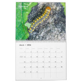 Hinterhof-Reihen-Raupen-Kalender Kalender (Mär 2026)