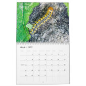 Hinterhof-Reihen-Raupen-Kalender Kalender (Mär 2027)