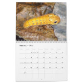Hinterhof-Reihen-Raupen-Kalender Kalender (Feb 2027)