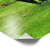 Hinterhof-Schwarzbär Fotodruck (Ecke)