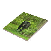 Hinterhof-schwarzer Bär Fliese (Seite)