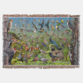 Hinterhof-Vögel des Westens Decke (Vorderseite)