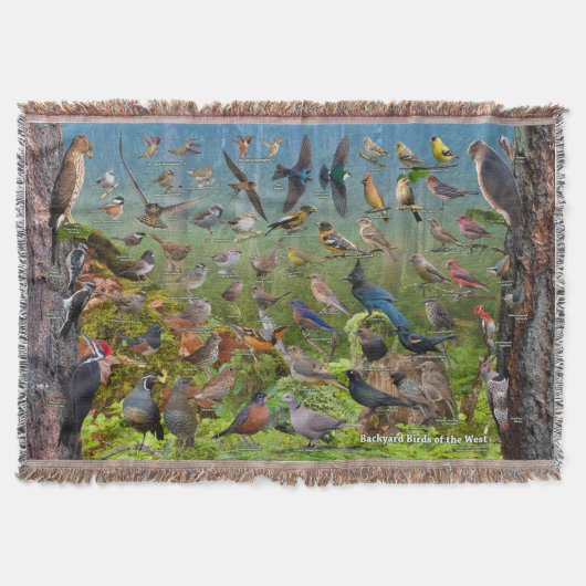 Hinterhof-Vögel des Westens Decke (Vorderseite)