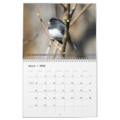 Hinterhof-Vogel-Kalender 2. in den Reihen Kalender (Mär 2026)