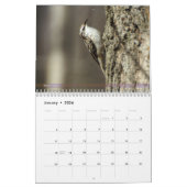 Hinterhof-Vogel-Kalender 2. in den Reihen Kalender (Jan 2026)