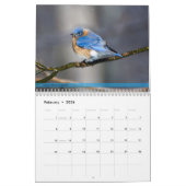 Hinterhof-Vogel-Kalender 3. in den Reihen Kalender (Feb 2026)