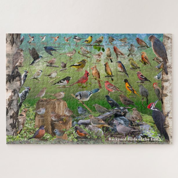 Spatz Puzzle | Zazzle.de