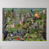 Hinterhof Wildlife of the West identification Poster (Vorne)