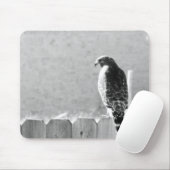 Hinterhofbesucher Mousepad (Mit Mouse)