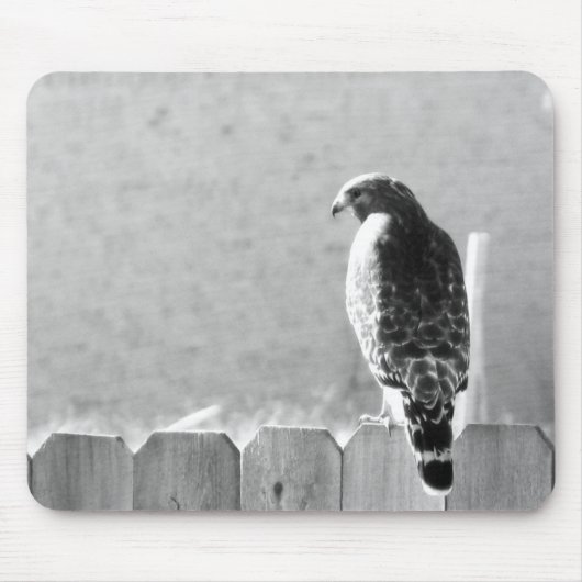 Hinterhofbesucher Mousepad (Vorne)