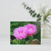 Hinterhofblüten Postkarte (Stehend Vorderseite)