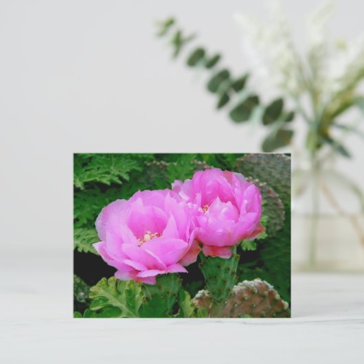 Hinterhofblüten Postkarte (Stehend Vorderseite)