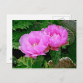 Hinterhofblüten Postkarte (Vorne/Hinten)