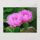 Hinterhofblüten Postkarte (Vorderseite)