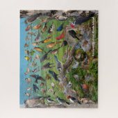 Hinterhofvögel auf der Insel Rhode Puzzle (Vertikal)