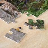 Hinterhofvögel auf der Insel Rhode Puzzle (Seite)