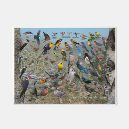 Hinterhofvögel des BC-Innenraums Fußmatte