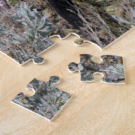 Hinterhofvögel des BC-Innern Puzzle (Seite)