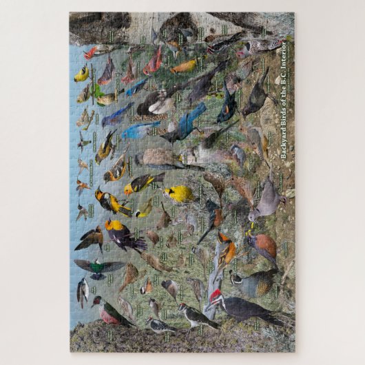 Hinterhofvögel des BC-Innern Puzzle (Vertikal)