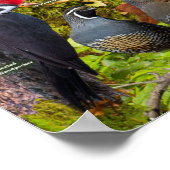 Hinterhofvögel des Westplakats Poster (Ecke)