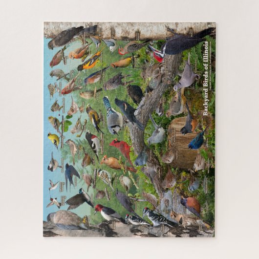 Hinterhofvögel im Illinois-Puzzle Puzzle (Vertikal)