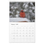 Hinterhofvögel im Mittelatlantik Kalender (Feb 2027)