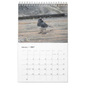Hinterhofvögel im Mittelatlantik Kalender (Jan 2027)