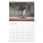 Hinterhofvögel im Mittelatlantik Kalender (Mär 2027)