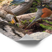 Hinterhofvögel im Norden Poster (Ecke)