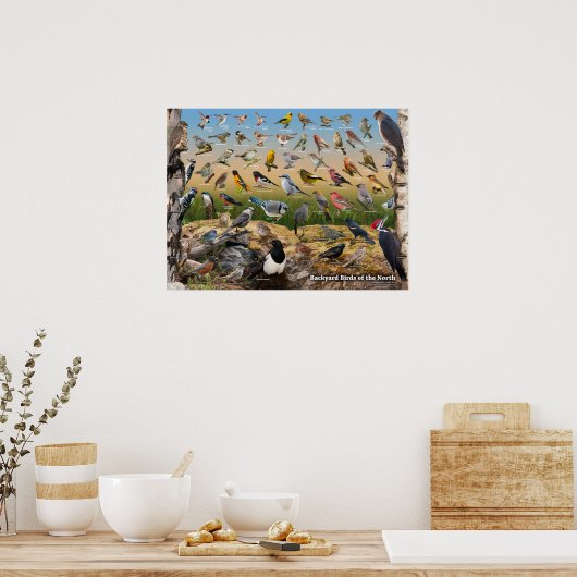 Hinterhofvögel im Norden Poster (Küche)