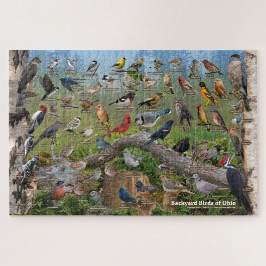 Hinterhofvögel im Ohio-Puzzle Puzzle (Horizontal)