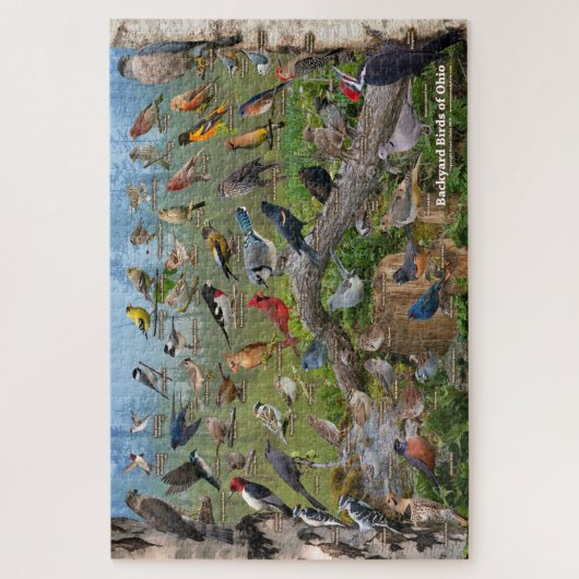 Hinterhofvögel im Ohio-Puzzle Puzzle (Vertikal)