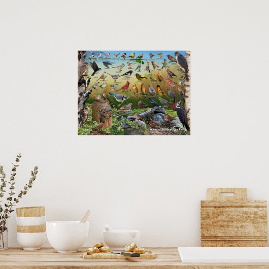 Hinterhofvögel im Osten Poster (Küche)