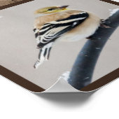 Hinterhofvögel im Schnee Poster (Ecke)