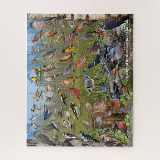 Hinterhofvögel im südlichen Ontario Puzzle (Vertikal)