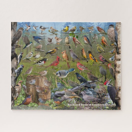 Hinterhofvögel im südlichen Ontario Puzzle (Horizontal)