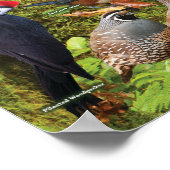 Hinterhofvögel im Westen Poster (Ecke)