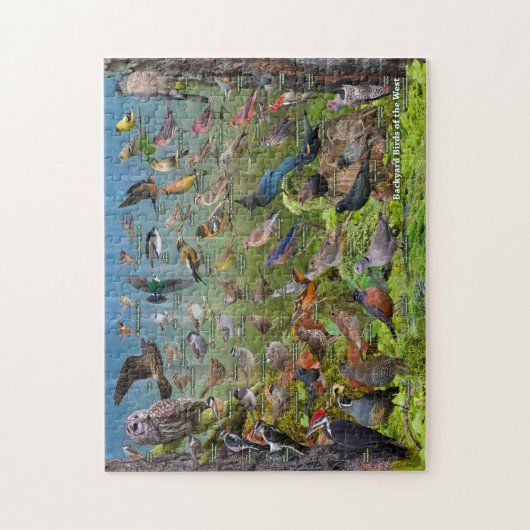 Hinterhofvögel im Westen Puzzle (Vertikal)