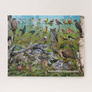 Hinterhofvögel in Neufundland Puzzle