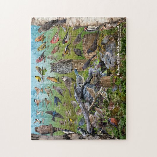 Hinterhofvögel in Neufundland Puzzle (Vertikal)