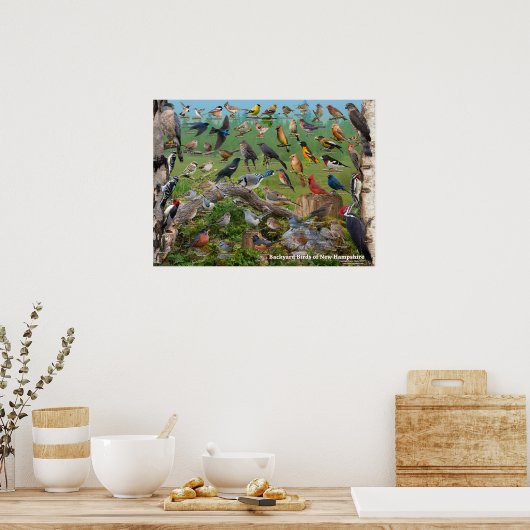 Hinterhofvögel in New Hampshire Poster (Küche)