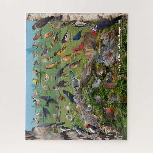 Hinterhofvögel in New Hampshire Puzzle (Vertikal)