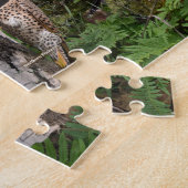 Hinterhofvögel in New Hampshire Puzzle (Seite)