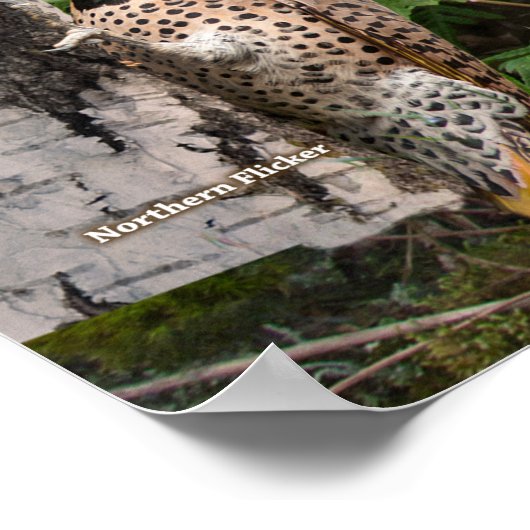 Hinterhofvögel in New York Large Poster (Ecke)