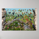 Hinterhofvögel in New York Large Poster (Vorne)