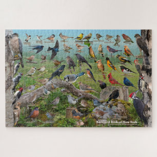 Hinterhofvögel in New York Puzzle