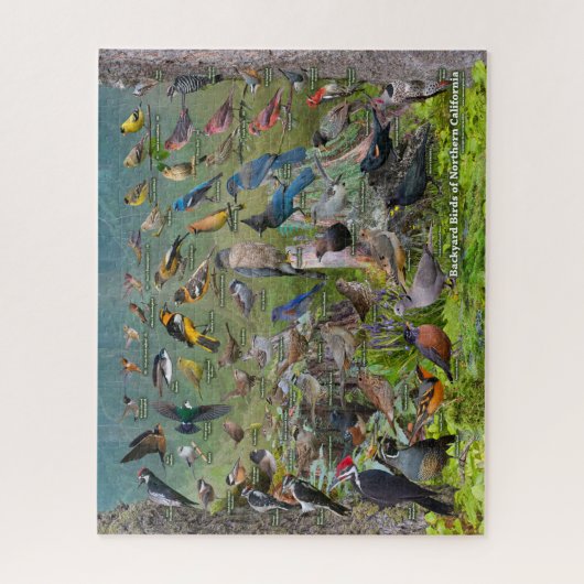Hinterhofvögel in Nordkalifornien Puzzle (Vertikal)