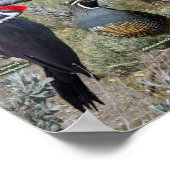 Hinterhofvögel in Oregon Poster (Ecke)